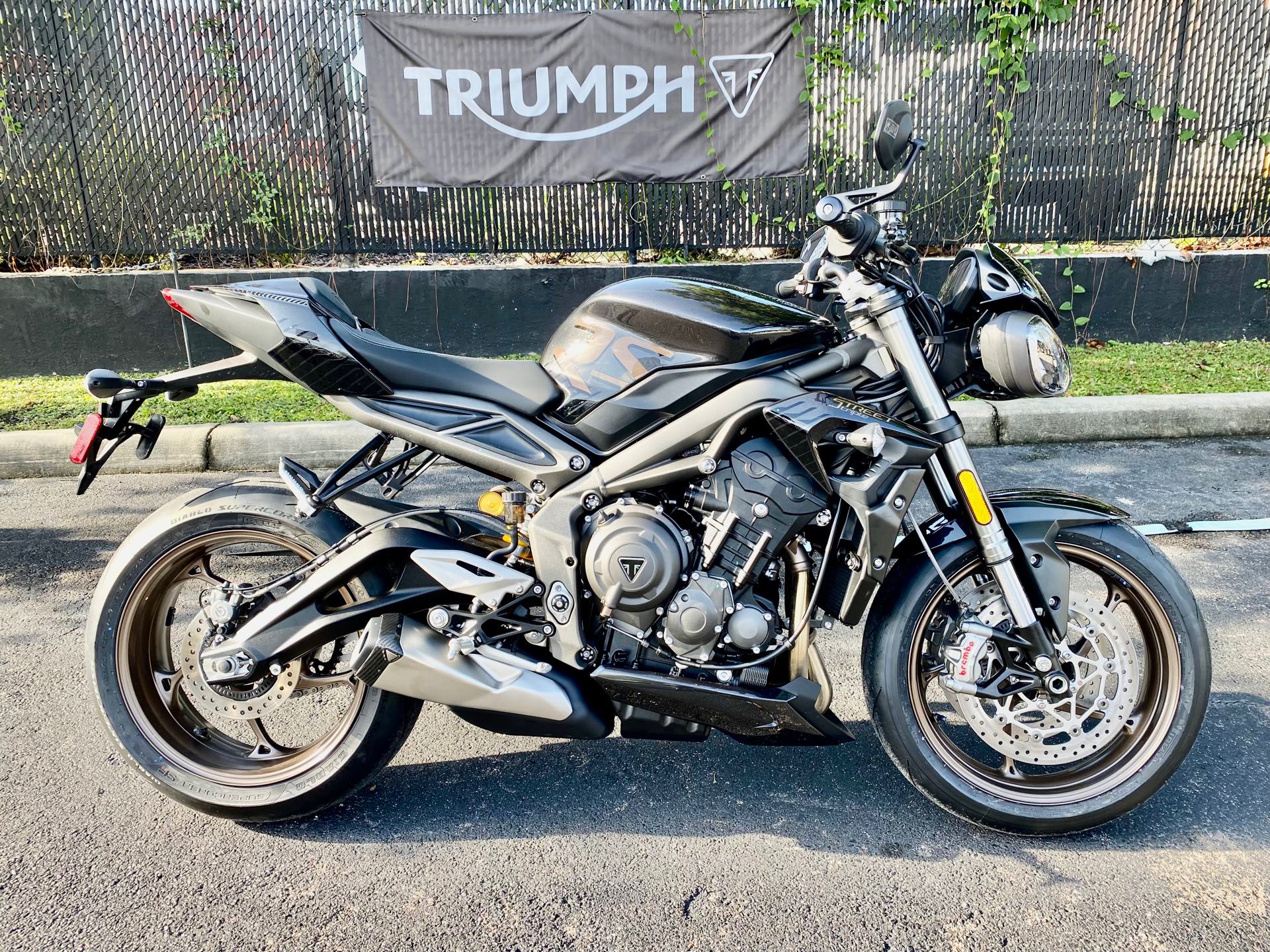 2023 Triumph Street Triple RS Tampa Triumph