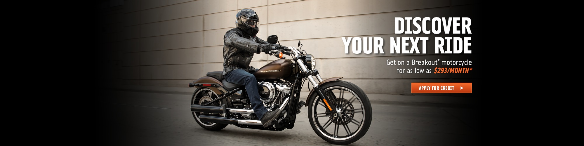 Zips 45th Parallel HarleyDavidson® Gaylord, MI New and PreOwned