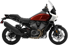 Shop Harley-Davidson Pan America Inventory