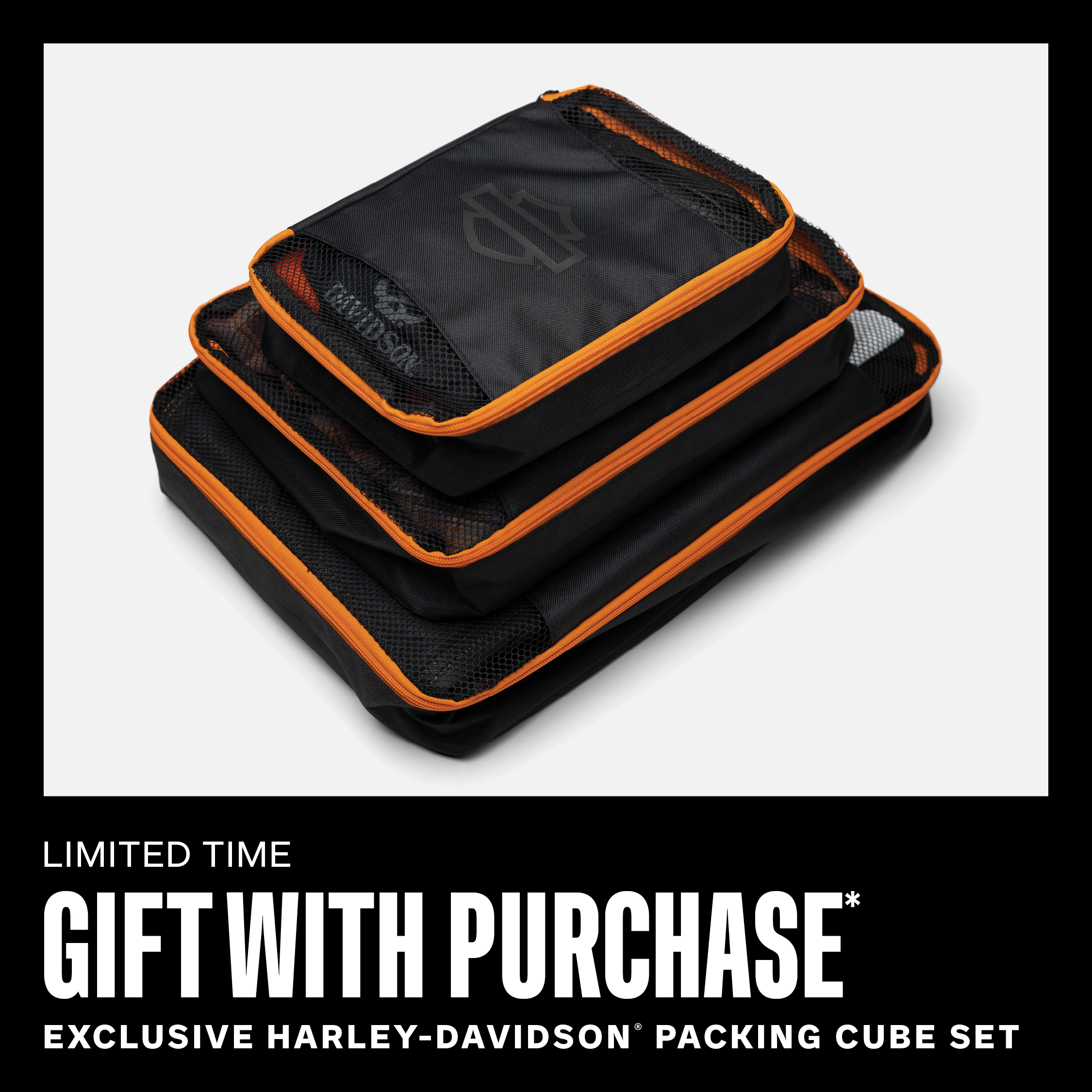 harley davidson gift with purchase