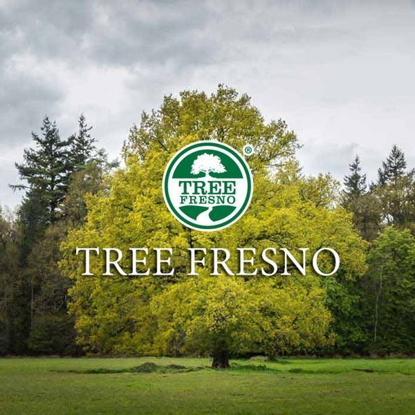 Tree Fresno: Clawson Supports Local Businesses