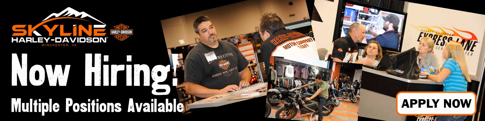 Skyline HarleyDavidson