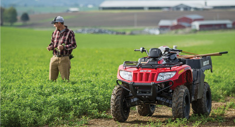 2021 Arctic  Cat  700 TBX AZ Motorsports  Offroad