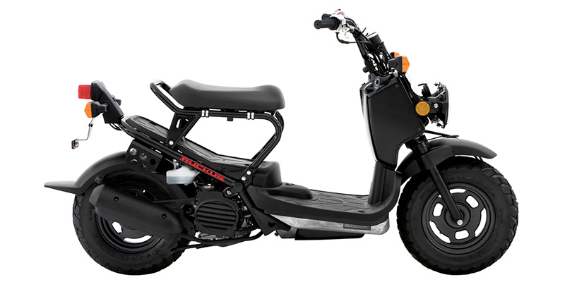2016 Honda Ruckus Base at Aces Motorcycles - Fort Collins