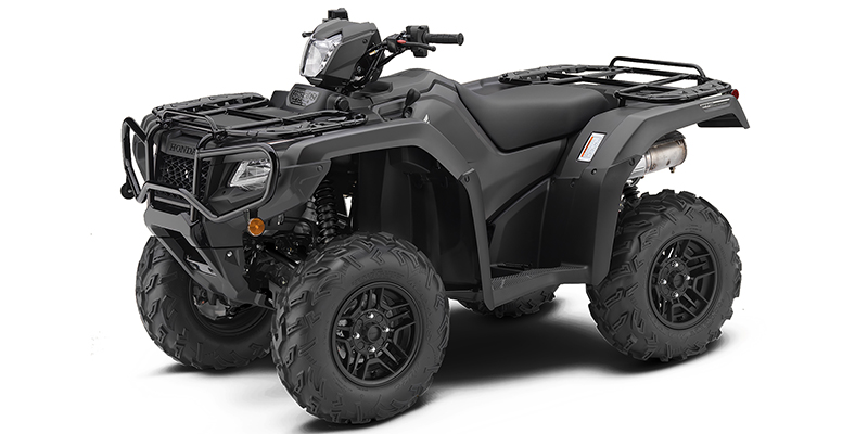 2019 Honda FourTrax Foreman® Rubicon 4x4 Automatic DCT EPS Deluxe ...