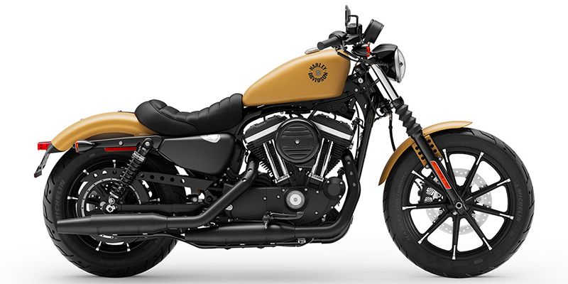 2019 Harley-Davidson Sportster Iron 883 at Deluxe Harley Davidson