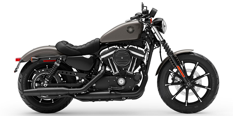 2019 Harley-Davidson Sportster Iron 883 at Deluxe Harley Davidson