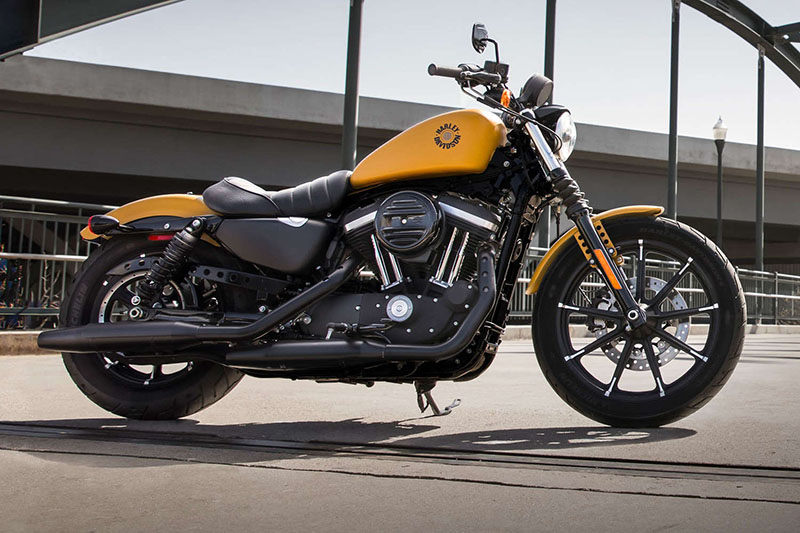 2019 Harley-Davidson Sportster® Iron 883™ at Gruene Harley-Davidson