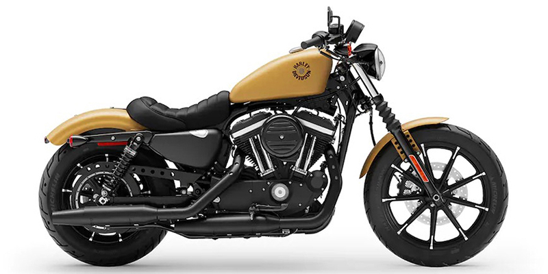 Iron 883™ at Gruene Harley-Davidson
