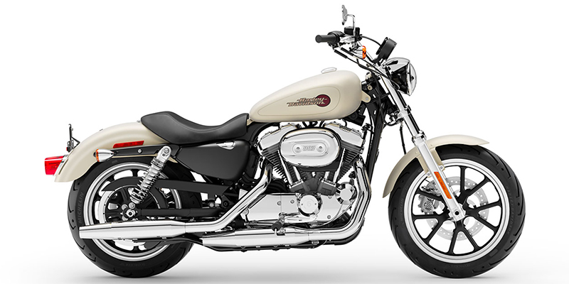 2019 Harley-Davidson Sportster® SuperLow® at Gruene Harley-Davidson