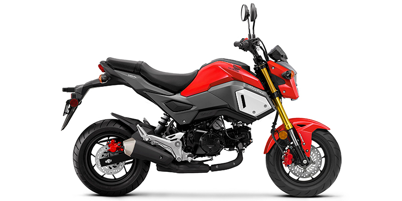 2020 Honda Grom™ ABS at Powersports St. Augustine
