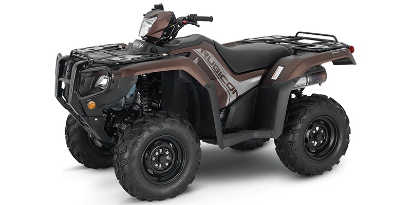 2020 Honda FourTrax Foreman® Rubicon 4x4 EPS at Thornton's Motorcycle - Versailles, IN