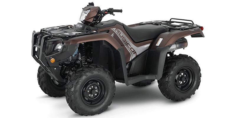 FourTrax Foreman® Rubicon 4x4 EPS at Iron Hill Powersports