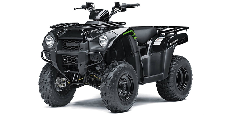 Brute Force® 300 at Powersports St. Augustine
