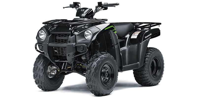 Brute Force® 300 at Jacksonville Powersports, Jacksonville, FL 32225