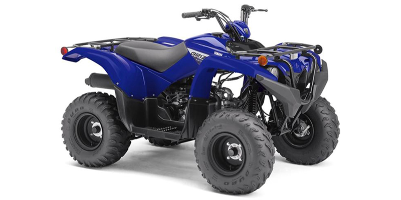 Grizzly 90 at Friendly Powersports Slidell