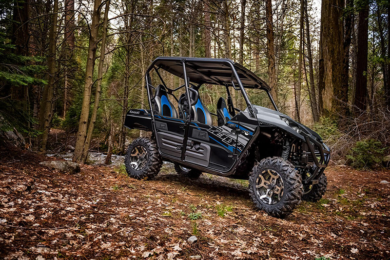 2020 Kawasaki Teryx4™ LE at Hebeler Sales & Service, Lockport, NY 14094