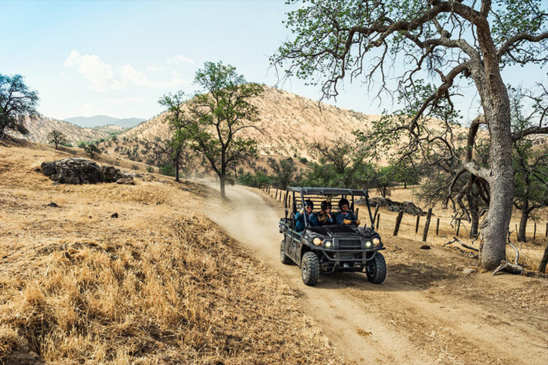 2020 Kawasaki Mule™ PRO-FXT™ EPS LE at Hebeler Sales & Service, Lockport, NY 14094