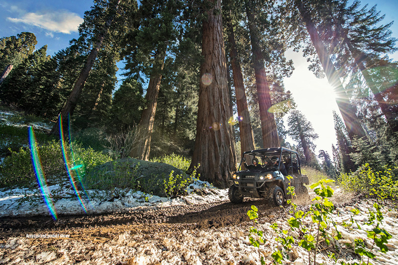 2020 Kawasaki Mule™ PRO-FXT™ Base at Clawson Motorsports