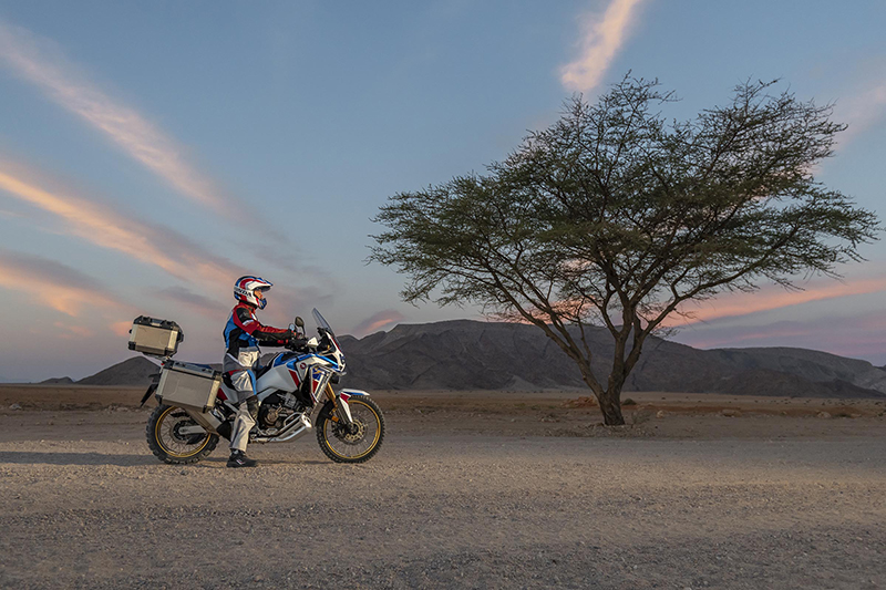 2020 Honda Africa Twin Adventure Sports ES at Powersports St. Augustine