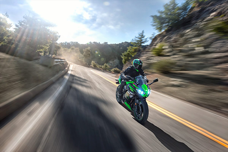 2020 Kawasaki Ninja® 650 KRT Edition at R/T Powersports