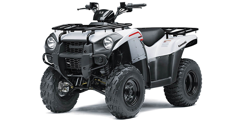 Brute Force® 300 at Friendly Powersports Slidell