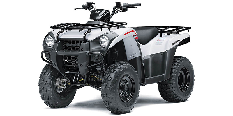 Brute Force® 300 at Powersports St. Augustine