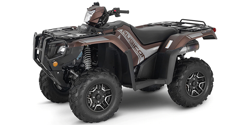 FourTrax Foreman® Rubicon 4x4 Automatic DCT EPS Deluxe at Powersports St. Augustine