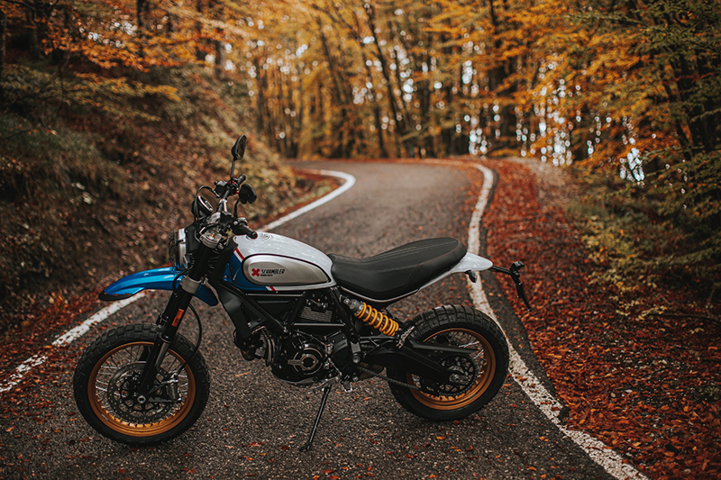 2021 Ducati Scrambler® Desert Sled at Aces Motorcycles - Fort Collins