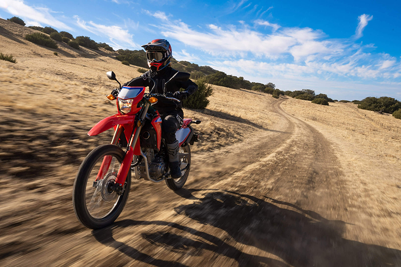 2021 Honda CRF® 300L ABS at Powersports St. Augustine