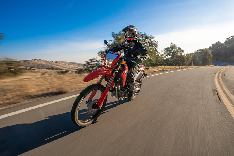 2021 Honda CRF® 300L Rally ABS at Thornton's Motorcycle - Versailles, IN