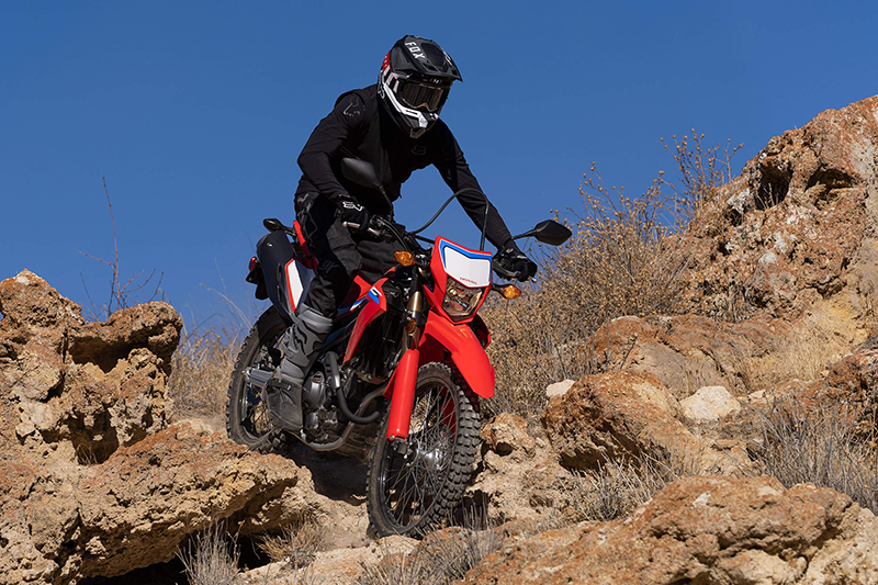2021 Honda CRF® 300L Rally ABS at Thornton's Motorcycle - Versailles, IN