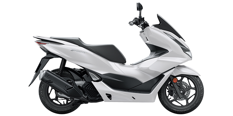 PCX150 at McKinney Outdoor Superstore