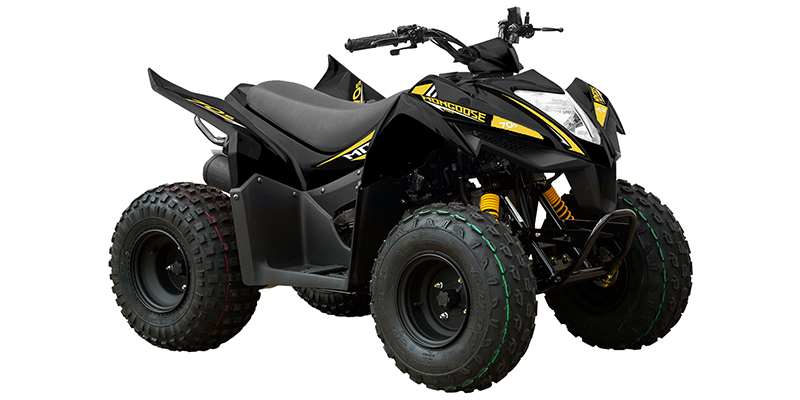 ATV at Paulson's Motorsports