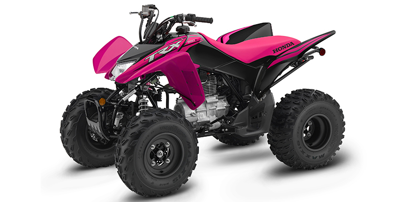 TRX250X at Friendly Powersports Baton Rouge