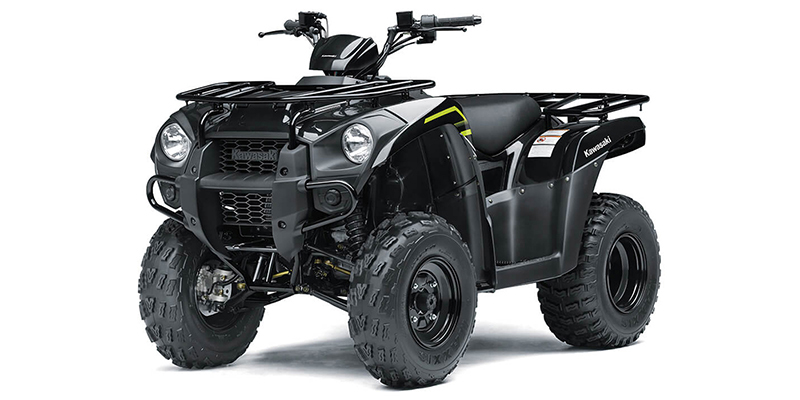 Brute Force® 300 at Powersports St. Augustine