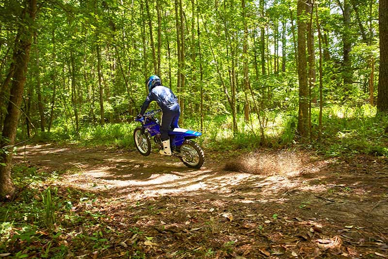 2022 Yamaha TT-R 230 at Sloans Motorcycle ATV, Murfreesboro, TN, 37129