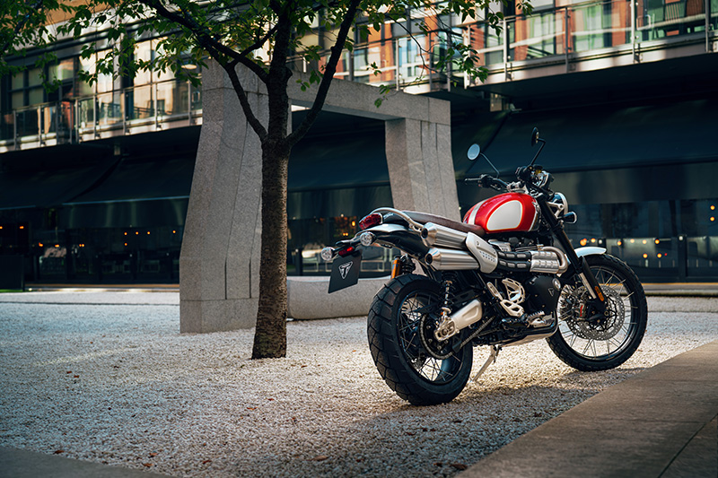 2022 Triumph Scrambler 1200 XC Gold Line at Martin Moto