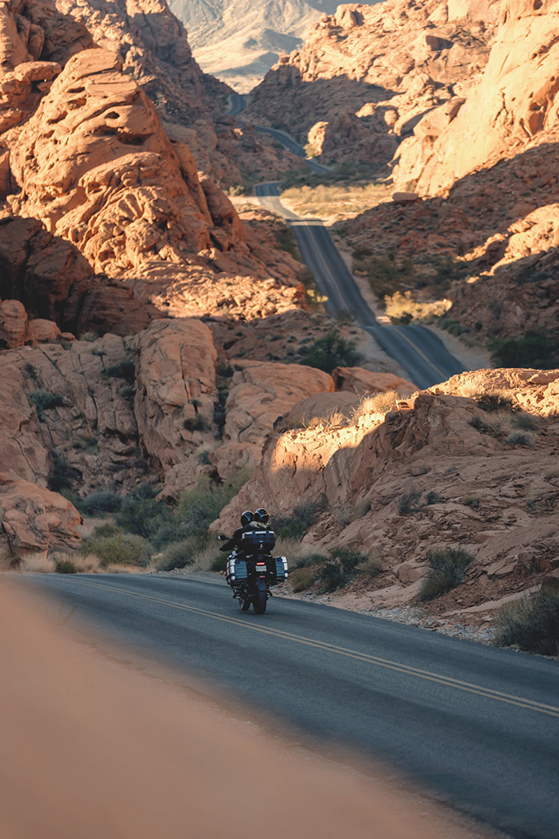 2022 Triumph Tiger 1200 GT Explorer at Got Gear Motorsports