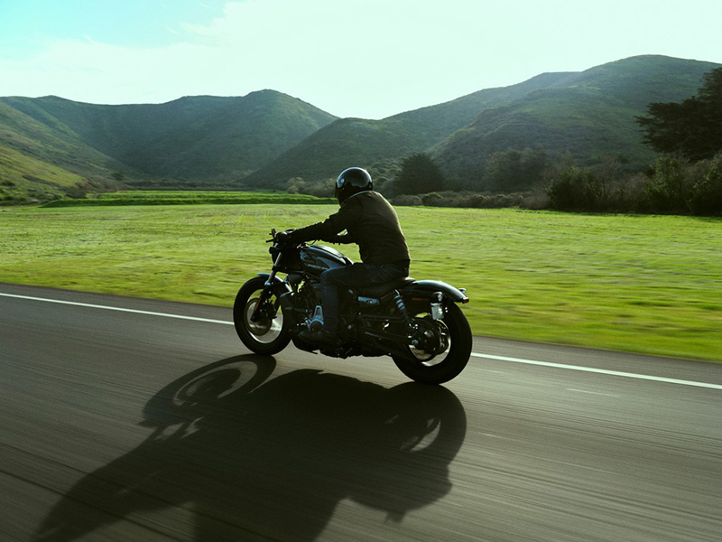 2022 Harley-Davidson Sportster® Nightster™ at Buddy Stubbs Arizona Harley-Davidson