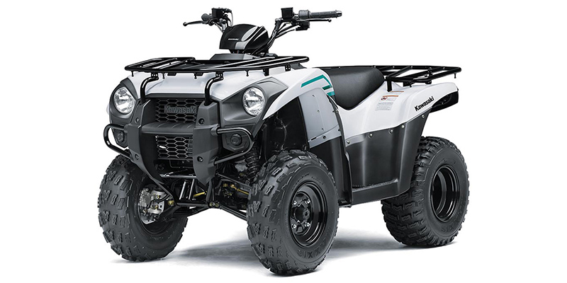 Brute Force® 300 at Jacksonville Powersports, Jacksonville, FL 32225