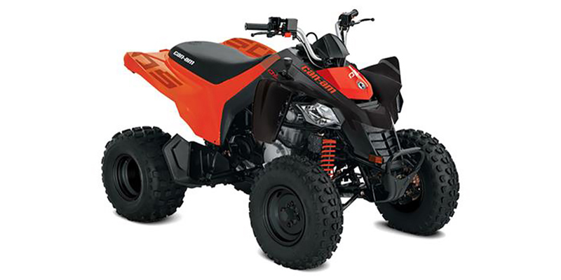 2023 Can-Am™ DS 250 at Jacksonville Powersports, Jacksonville, FL 32225