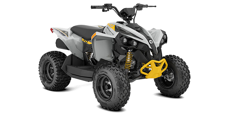2023 Can-Am™ Renegade 70 EFI at Wood Powersports Harrison
