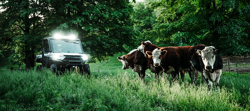 2023 Polaris Ranger® Crew XP 1000 NorthStar Edition Trail Boss at Wood Powersports Fayetteville