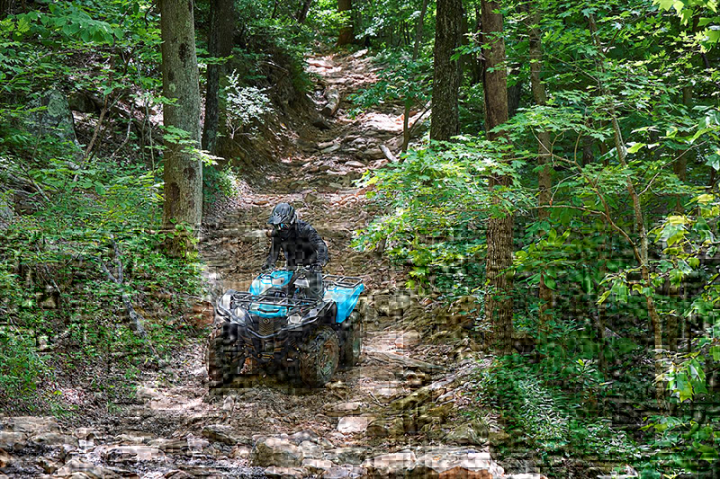 2023 Yamaha Grizzly EPS at Wood Powersports Fayetteville