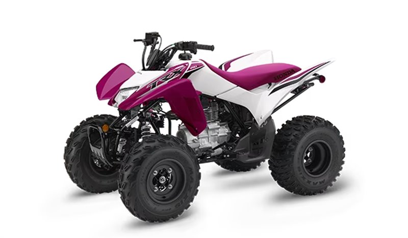 2023 Honda TRX® 250X at Sloans Motorcycle ATV, Murfreesboro, TN, 37129