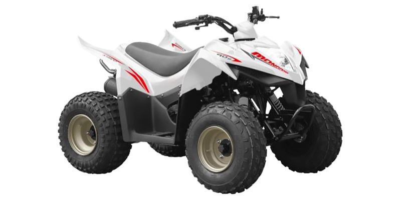 ATV at Paulson's Motorsports