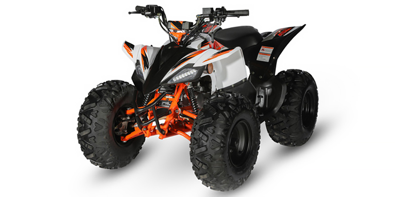 Predator 125 at Jacksonville Powersports, Jacksonville, FL 32225