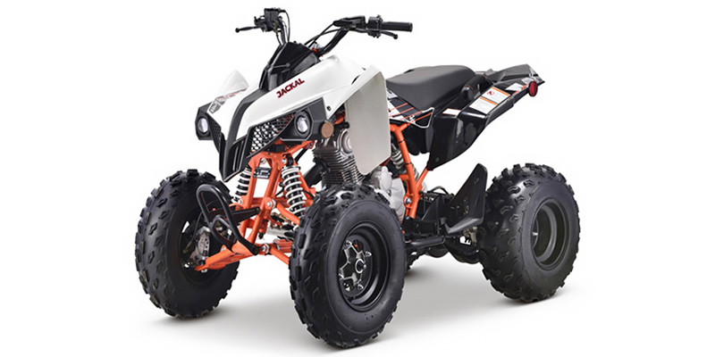 Jackal 200 at Northstate Powersports