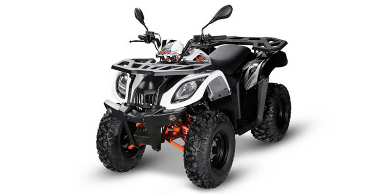 Bull 200 at Shift Digital - Website Access - Metric